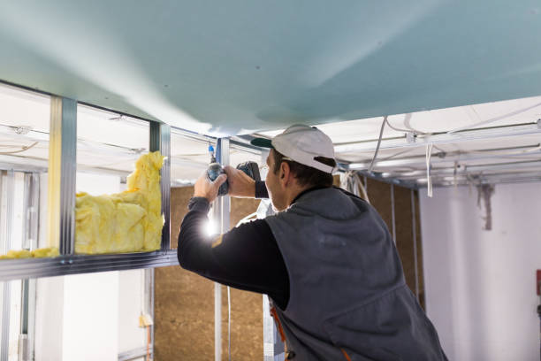 Best Attic Insulation Installation  in Nederland, CO