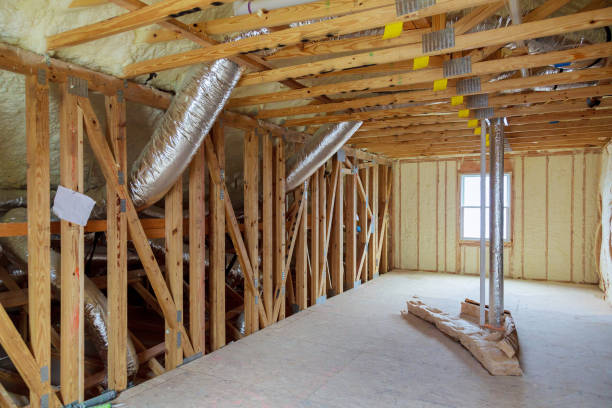 Best Affordable Insulation Services  in Nederland, CO