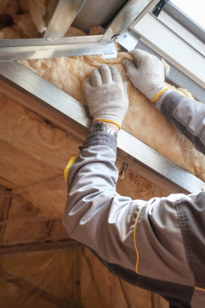 Best Insulation for New Construction  in Nederland, CO