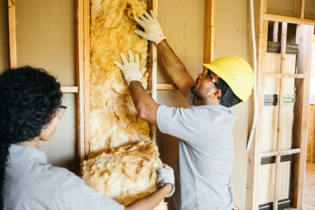 Best Fiberglass Insulation  in Nederland, CO