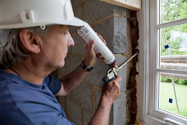 Best Attic Insulation Installation  in Nederland, CO